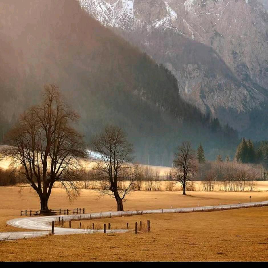 一颗红心向太阳