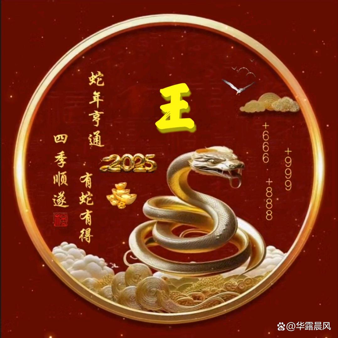 王：Wᴗangꫛꪝᝰ෴ ۣ .