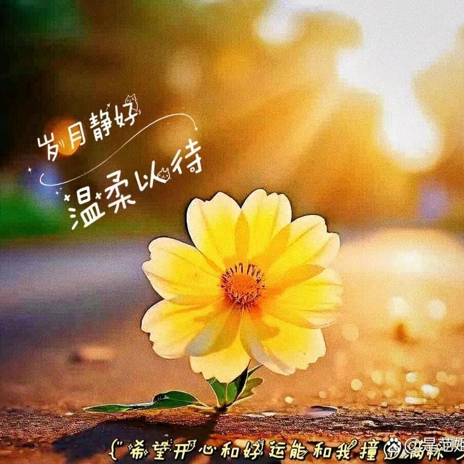 开心