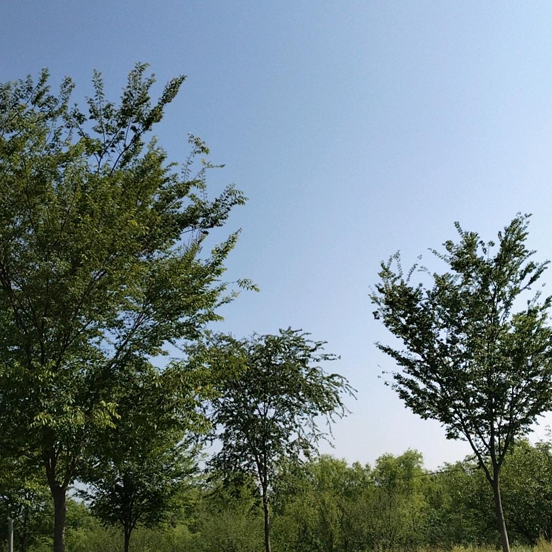 抖音纪大姐