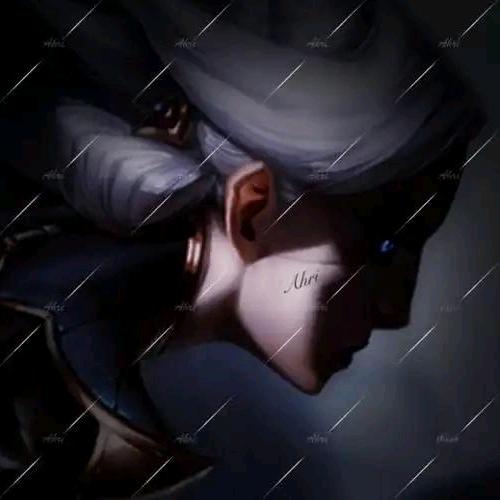 舟舟