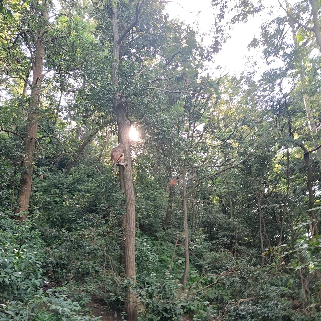 《单身，姐姐》