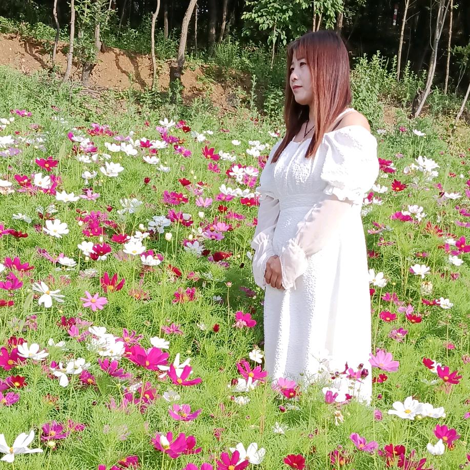 🌊⁵¹⁷: ໑ຼₒ₂₅?静