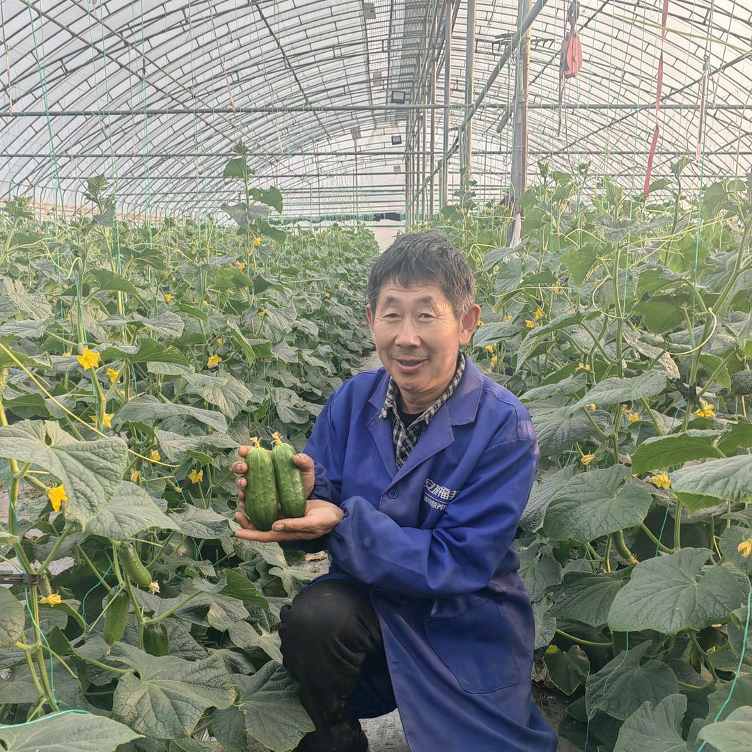 段哥大棚种植