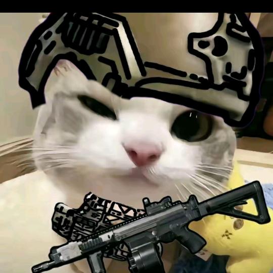 百岁纯情老黄狗