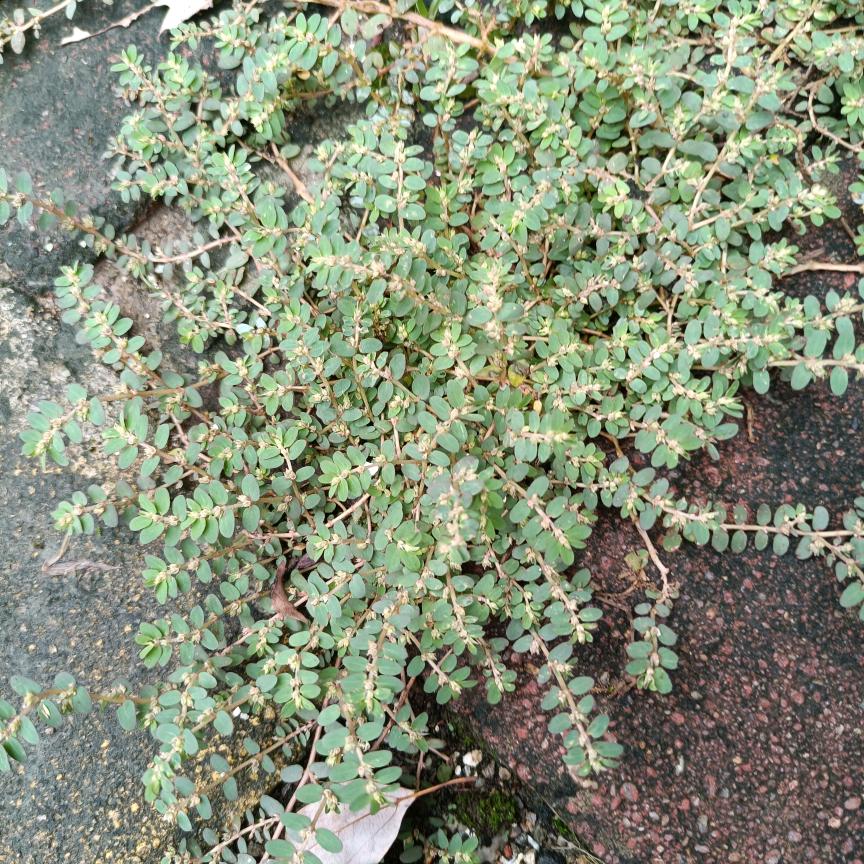好物推荐