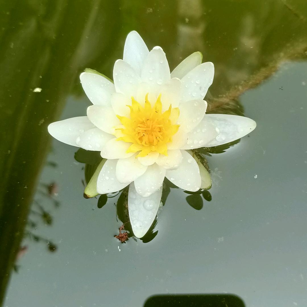 独闯天下