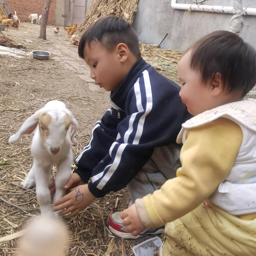 薇薇小可爱