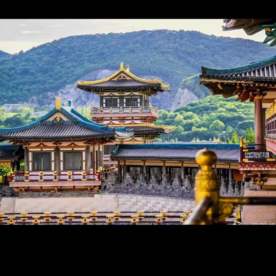 小楠楠爱出去玩