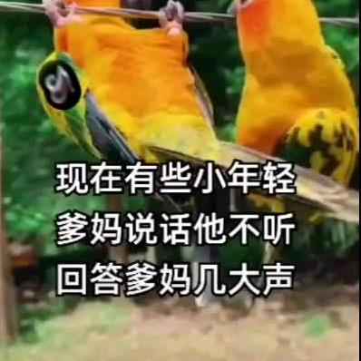 余云翠