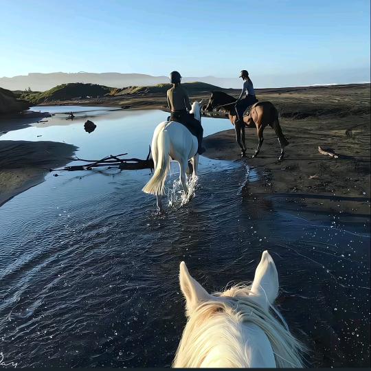 飘渺