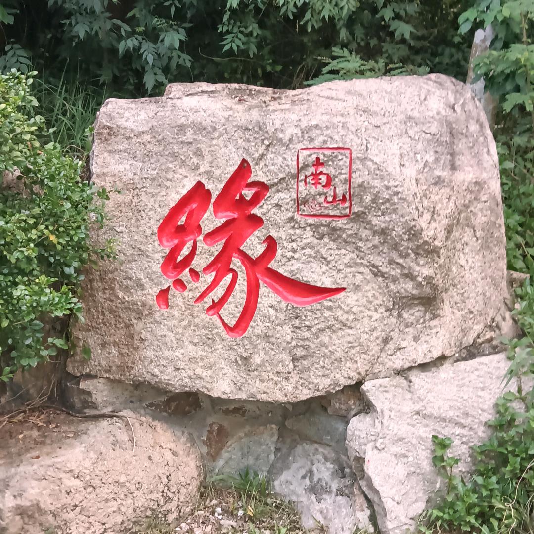 鱿鱼(눈_눈)