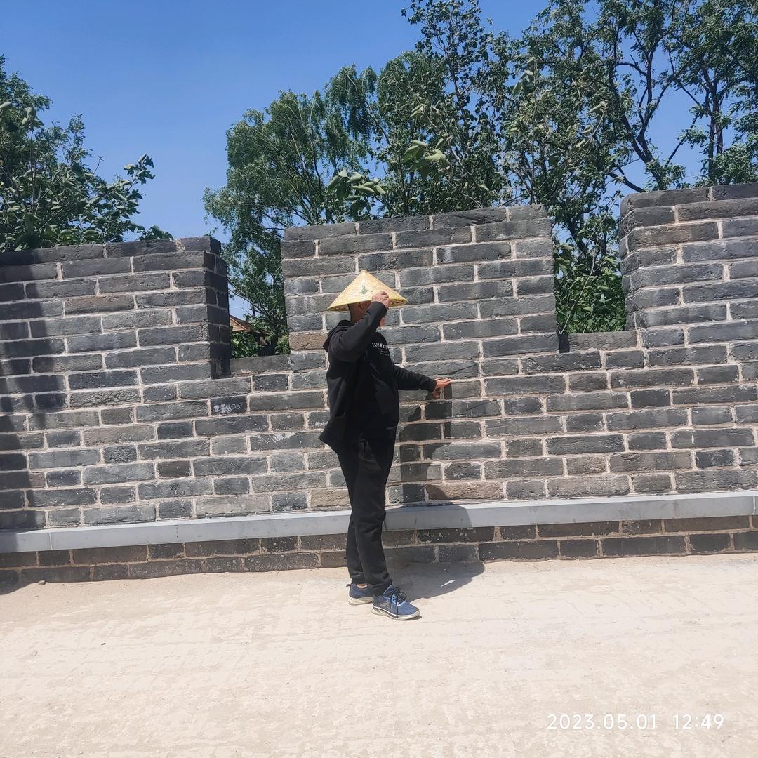 嗨喽，树先生