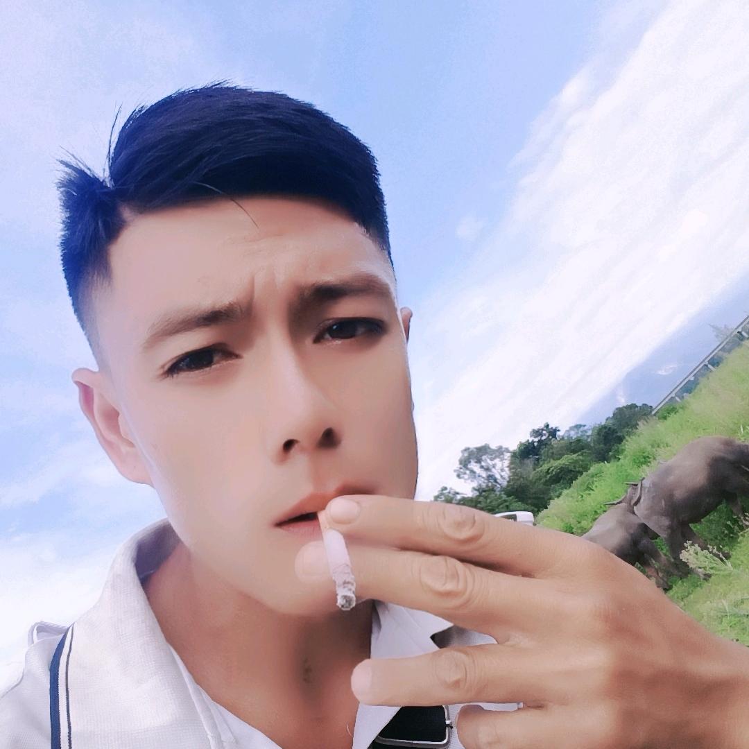 缅 芫荽  大香菜批发