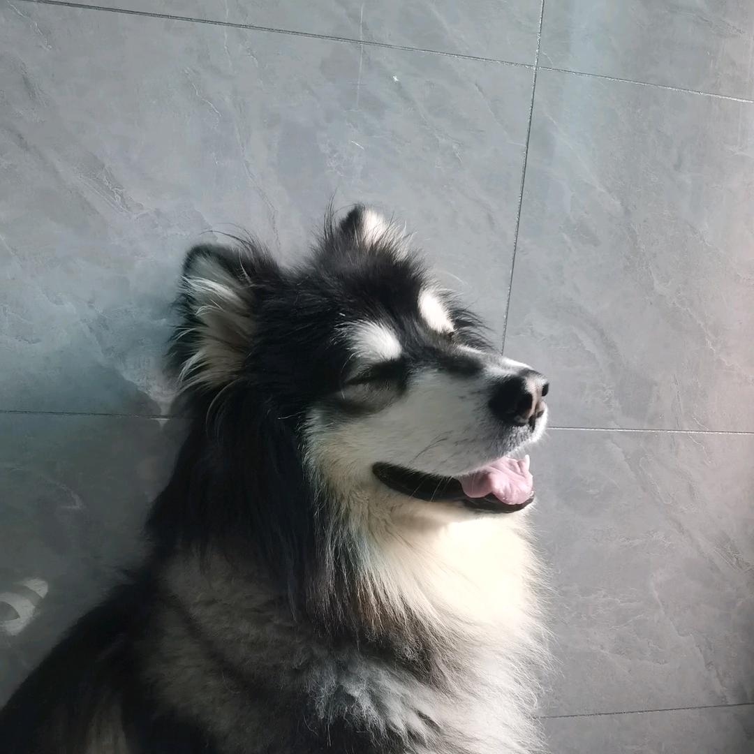 Y.
