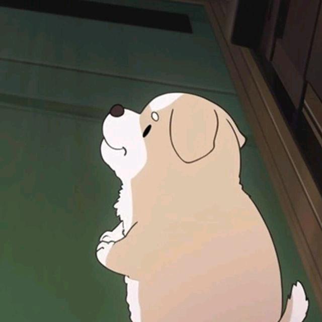 迷茫的小树叶