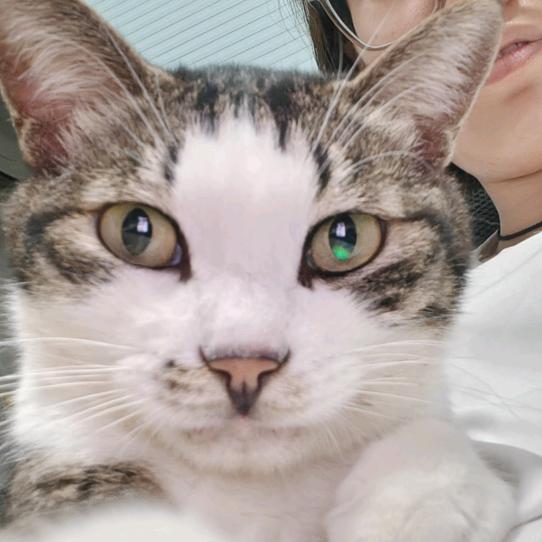 豆芽不菜🐱