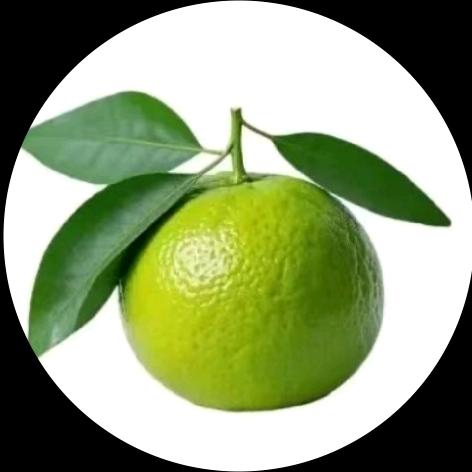 生芹菜炒大虾仁