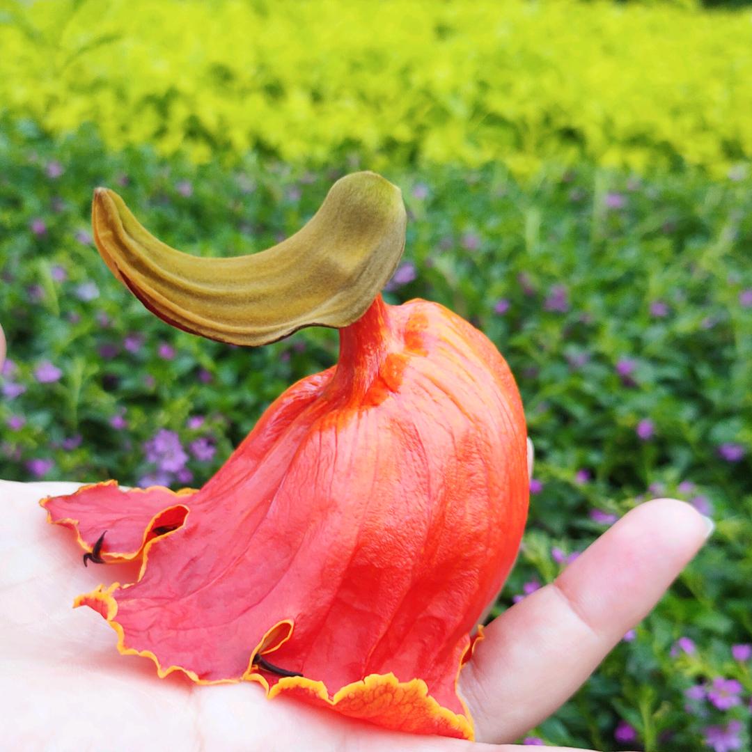 呵呵哈哈哈