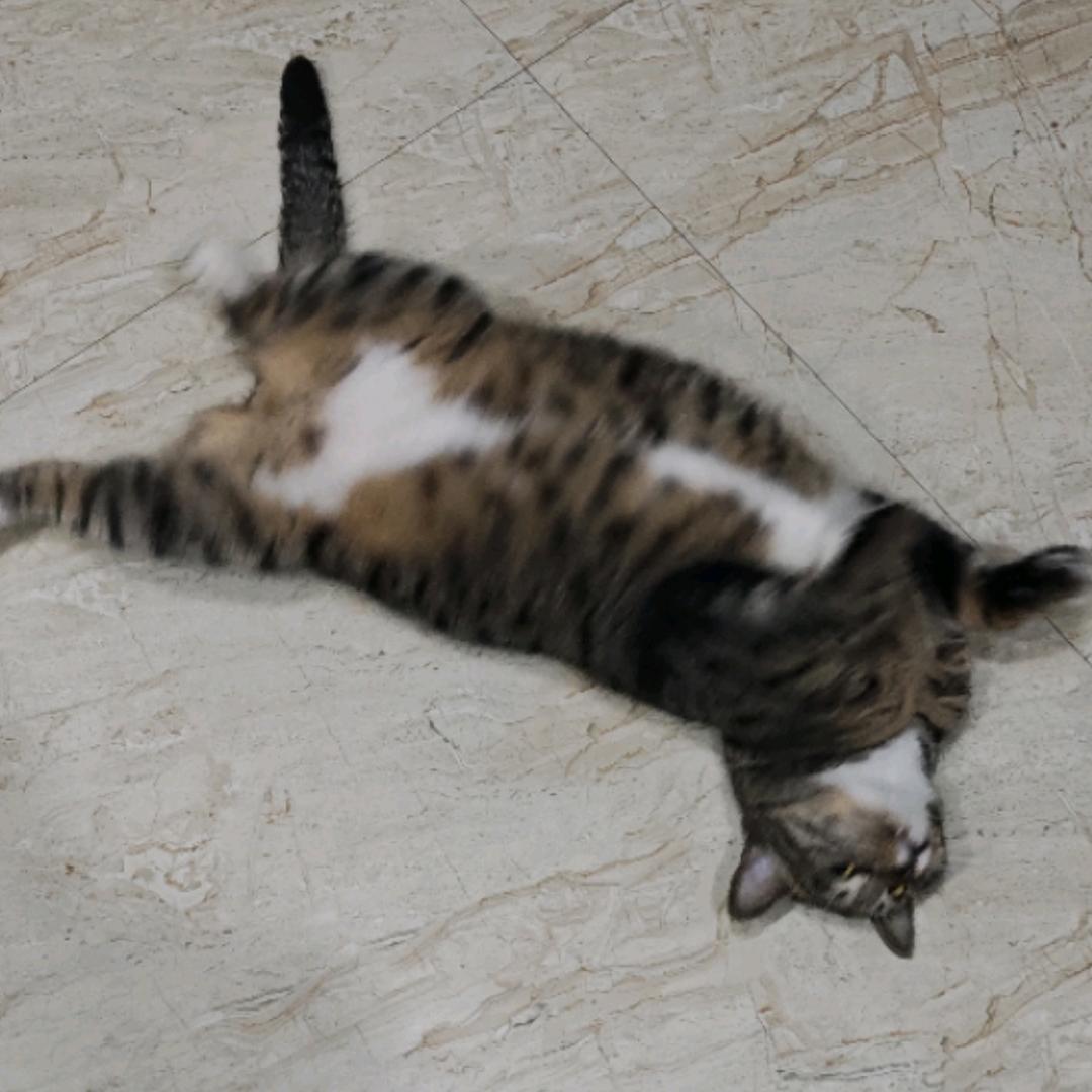 🌀云亦🌀