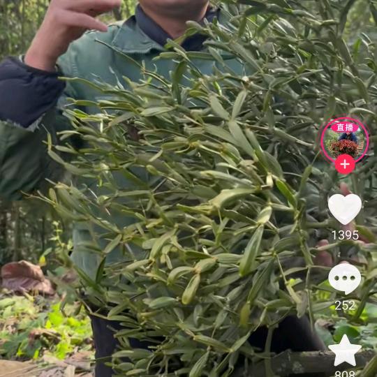 天福哥