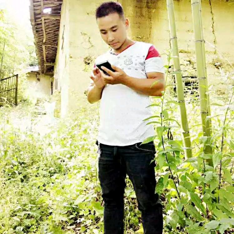 小伍哥