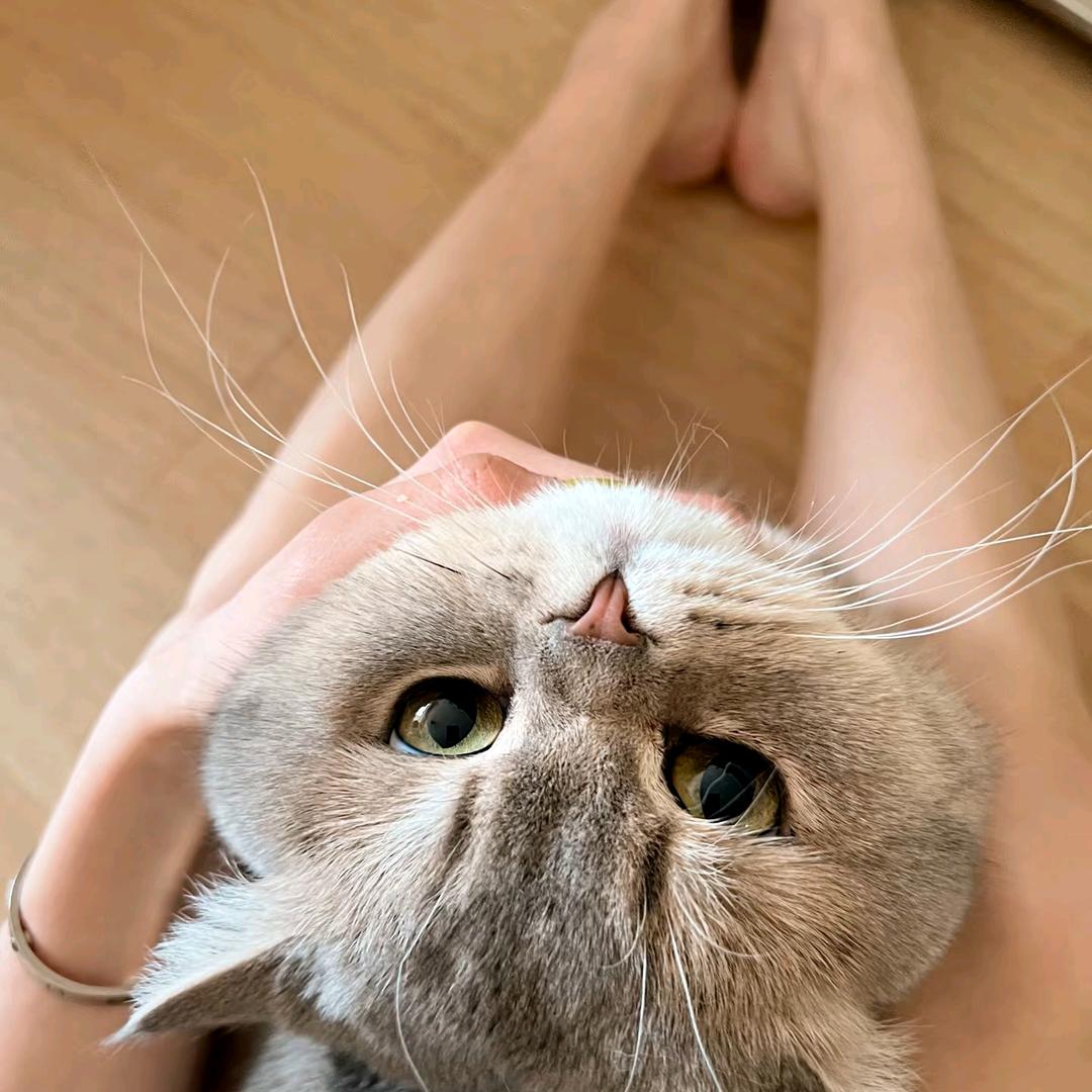 阿UU