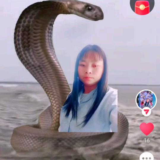 用户5238033948311🌹🌹