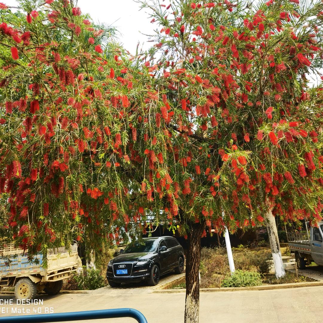 好好爱自己！！