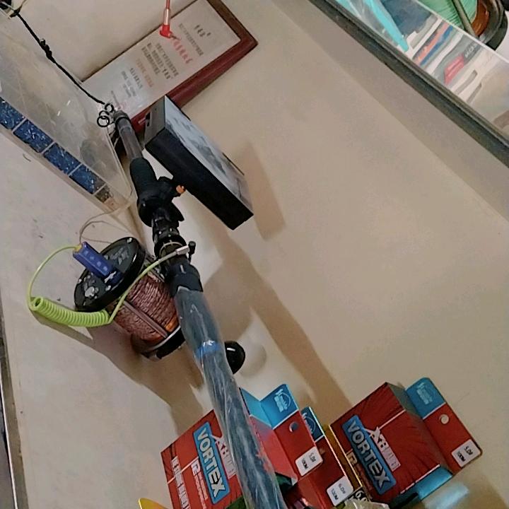 浪里白条，水中飞