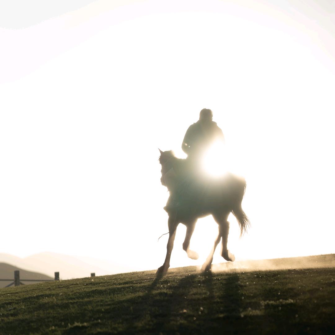 韩所友🐎坝上草原马背旅行