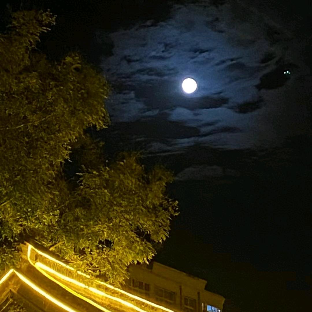 共铸辉煌ᴸᴴ