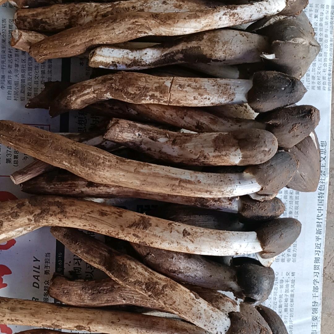 奋斗的努力
