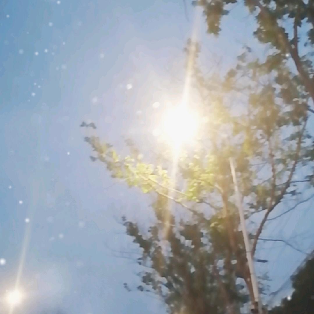 小明