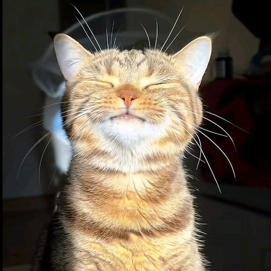 深夜游戏探险家