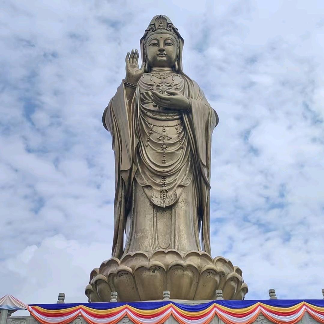 常爱花