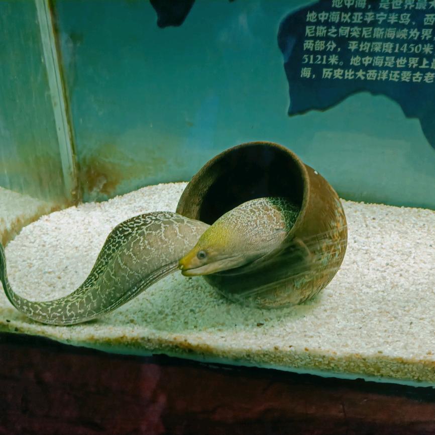 好人一生平安