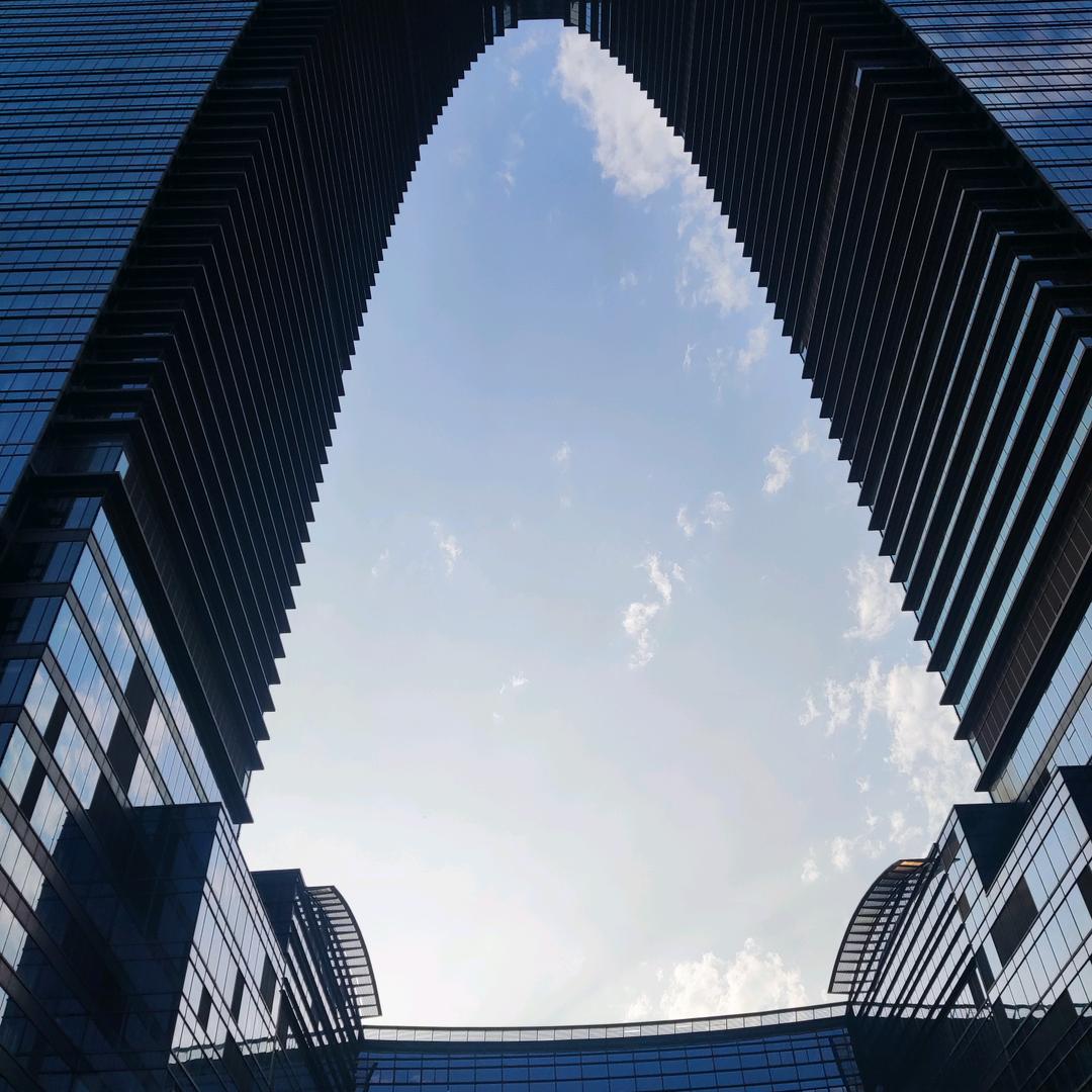 二娃饲养员日志