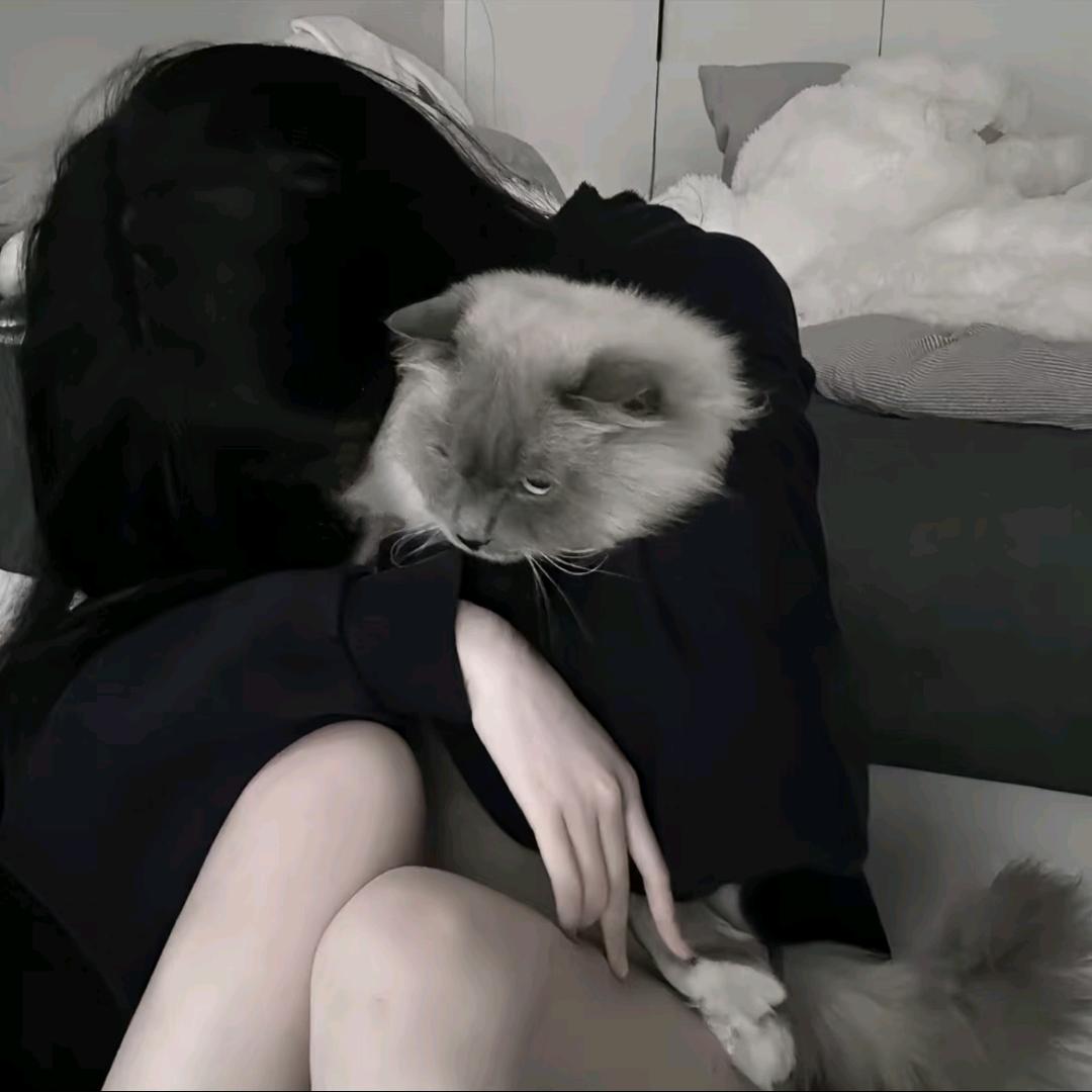 ω'懒懒鱼٩(و