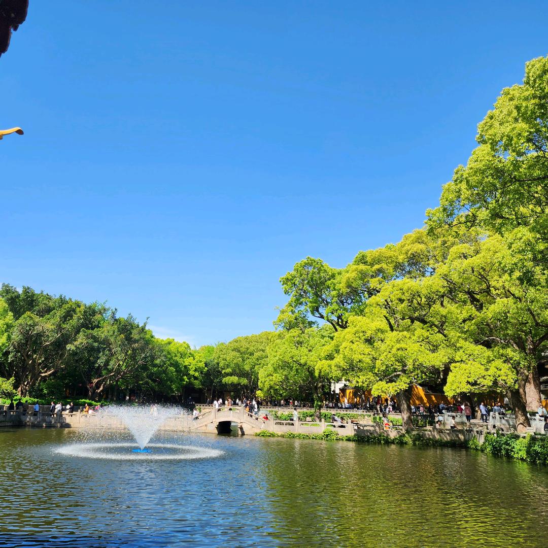 越来越好🌺🌺🌹🌹