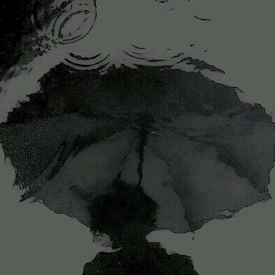 忧郁的谎言