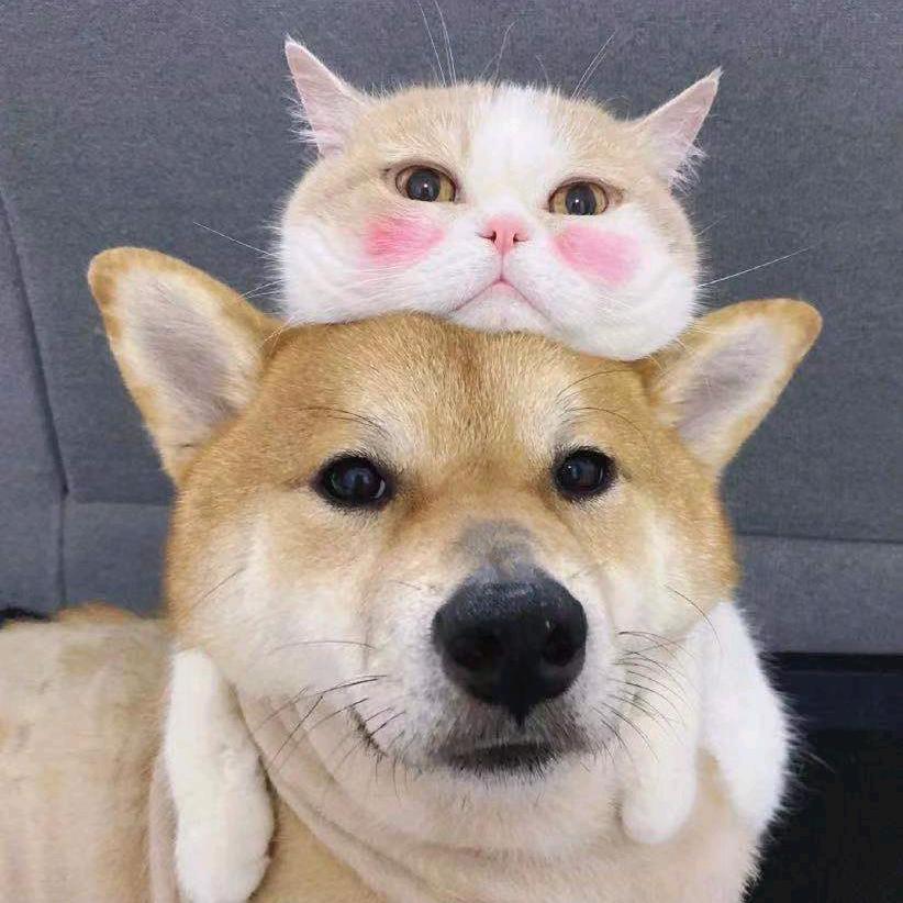 大话西游2朝闻道