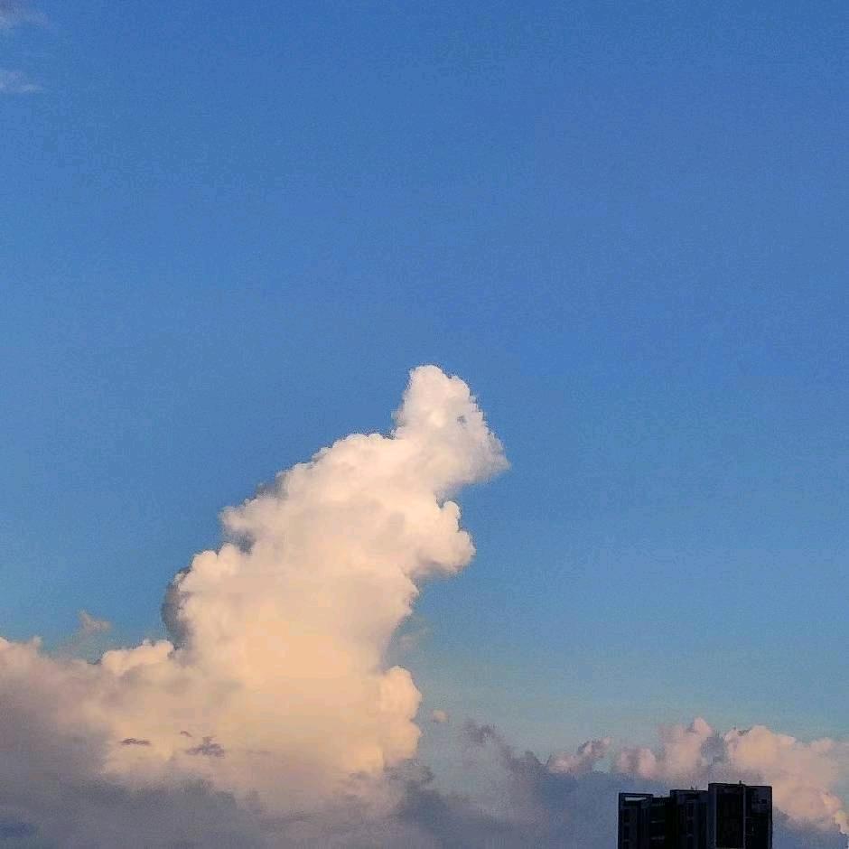 土也