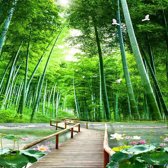 我是小学生。