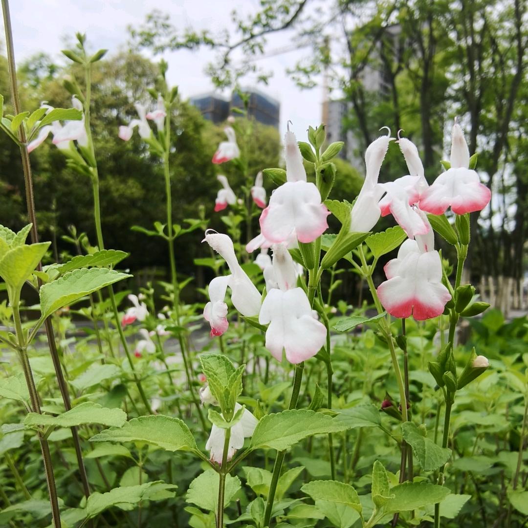 生活不易    且行且珍惜