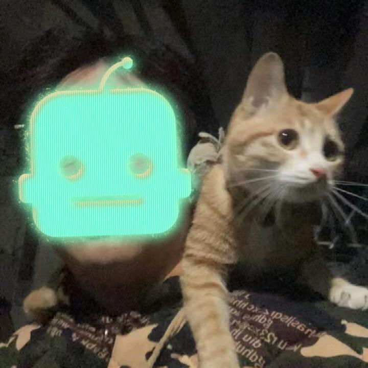 橘长！喵！！！！