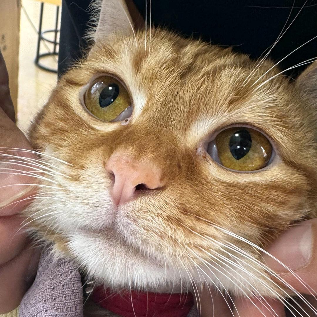 伟业手机庵埠总店