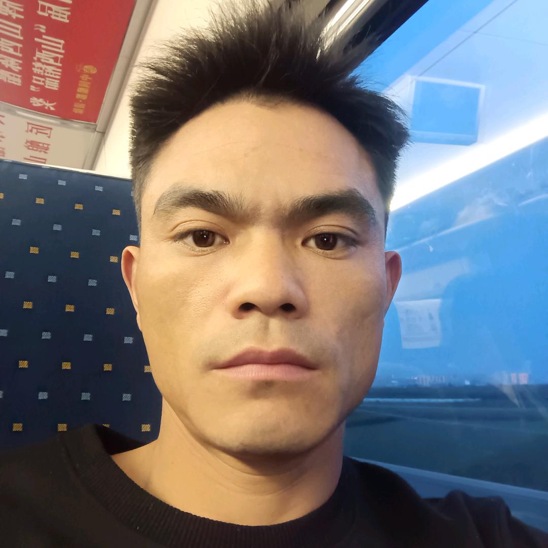 深情不及久伴