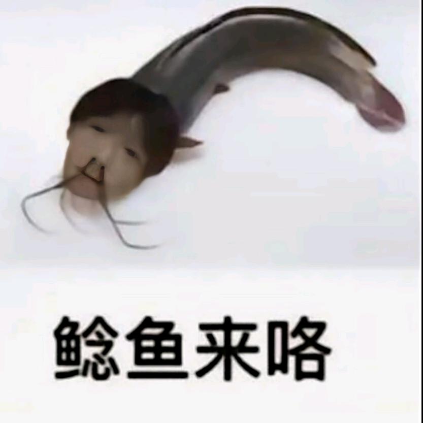 脚滑滴鲶鱼
