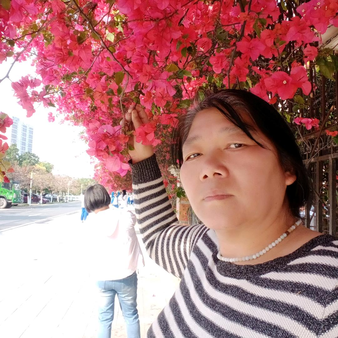 杨大姐